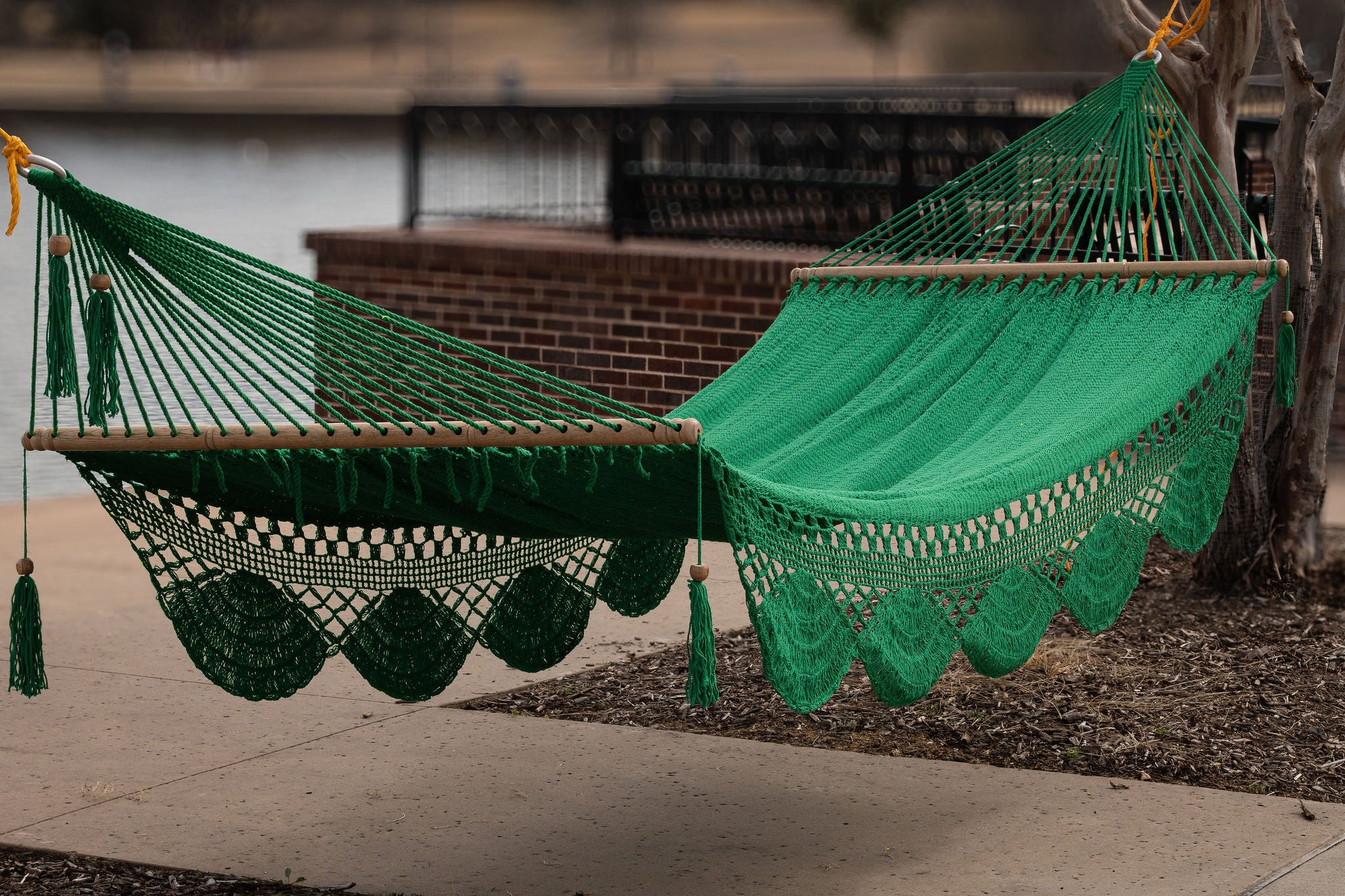 Green Family Size Hammock